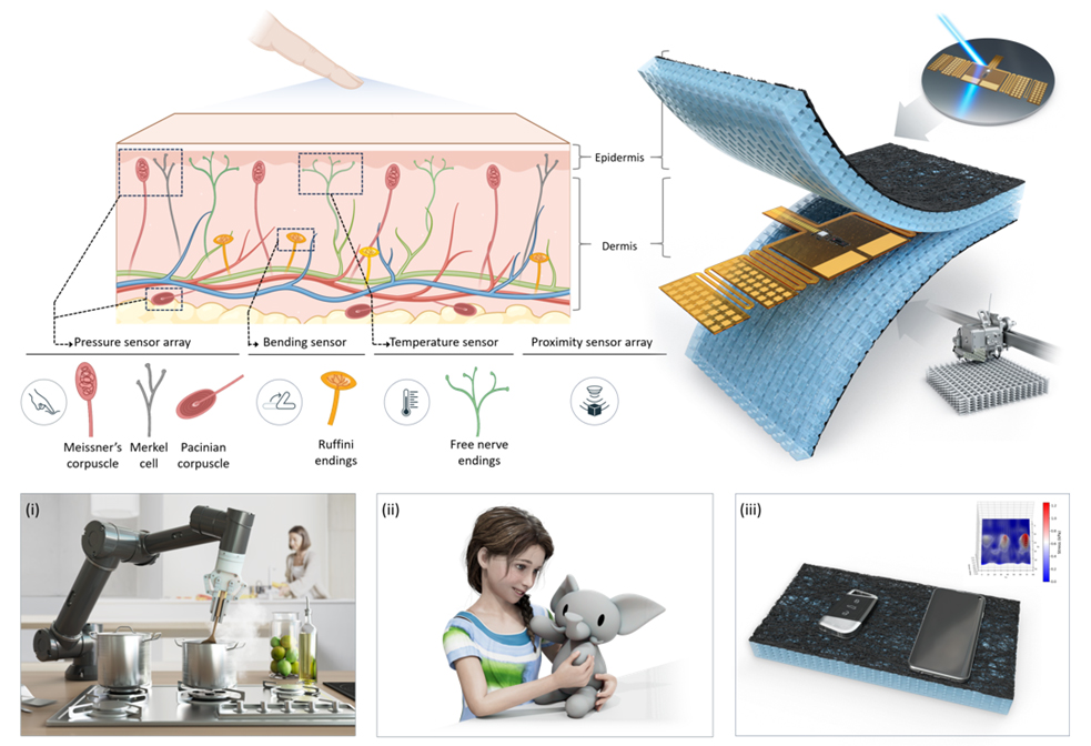 ETRI Develops Large-area Electronic Skin Process Technology Without Cleanrooms 이미지 2 - 본문에 자세한설명을 제공합니다.