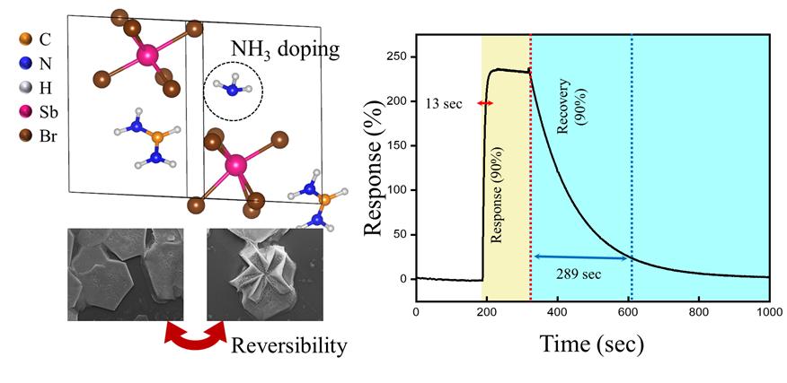 Detecting Ammonia Leaks at Concentrations as Low as 1 ppm! 이미지 2 - 본문에 자세한설명을 제공합니다.